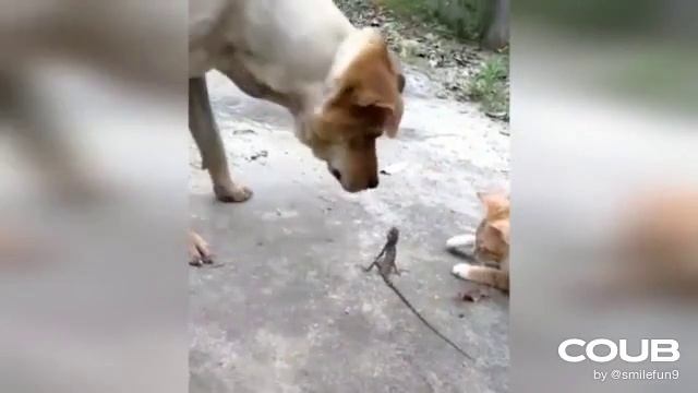 1621411344_looped_1621411342.mp4 смотреть онлайн