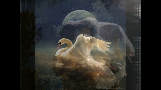Лебединая верность. Клип о любви и верности смотреть онлайн