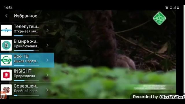 Переключение каналов (Триколор ТВ, 16.08.2022) (Пакет "Единый") смотреть онлайн