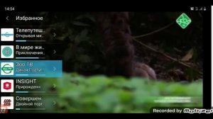 Переключение каналов (Триколор ТВ, 16.08.2022) (Пакет "Единый")