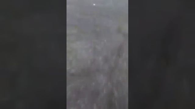 Бомбата в Долна Баня смотреть онлайн