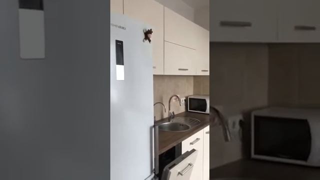 Аренда 1 ккв Московское шоссе 26 смотреть онлайн
