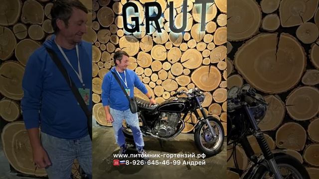 12 октября 2023 г. смотреть онлайн