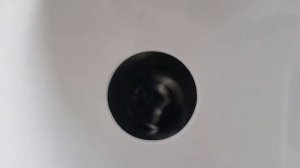 Включение мясорубки Bosch MFW3630A