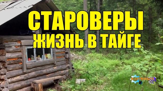0828 - СТАРОВЕРЫ _ ЖИЗНЬ В ТАЙГЕ _ СТАРОВЕРЫ СИБИРИ.mp4 смотреть онлайн
