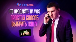 Как выбрать нишу на Вайлдберриз. Простой и легкий способ определиться с товаром для новичка