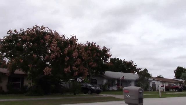 971.США.ДАНИЕЛ ПОПОЛНЯЕТ ЗАПАСЫ)) Lyubov Reed смотреть онлайн