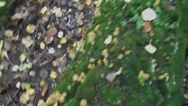 DSCN0325 смотреть онлайн