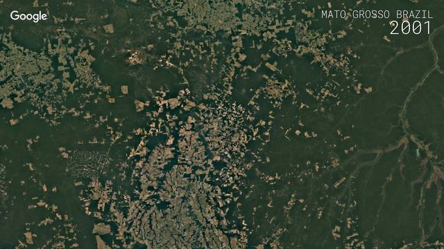 Google Timelapse: Mato Grosso, Brazil смотреть онлайн