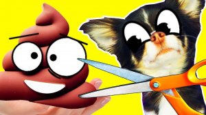 АНТИСТРЕСС И СКВИШИ ПРОТИВ ВОЛШЕБНЫХ ПИТОМЦЕВ