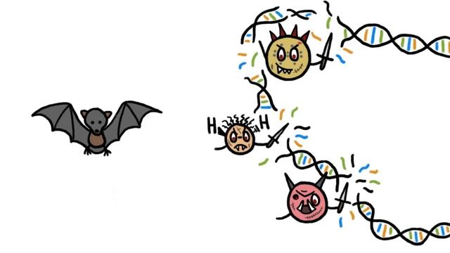 Эбола и Летучие Мыши