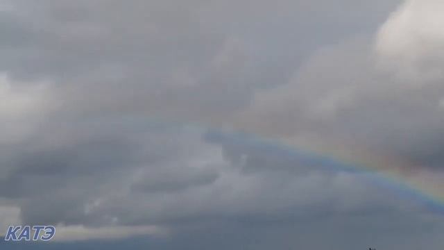 Шагаем весело Читает автор Фёдор Вакуленко смотреть онлайн