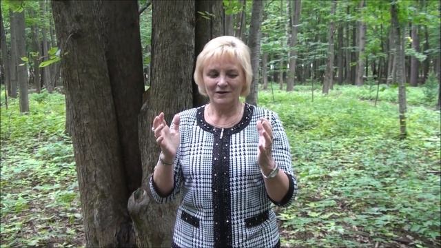 Как научиться чувствовать энергию? смотреть онлайн