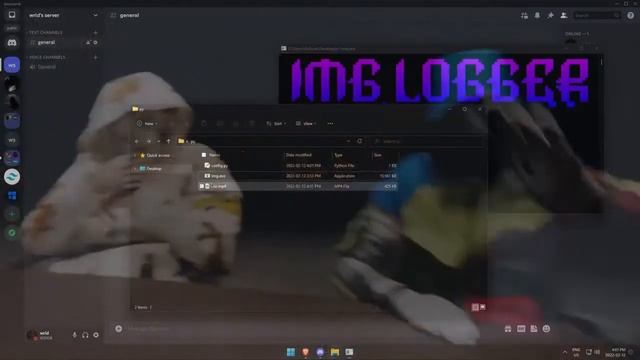 DISCORD IMAGE LOGGER WORKING 2022 смотреть онлайн