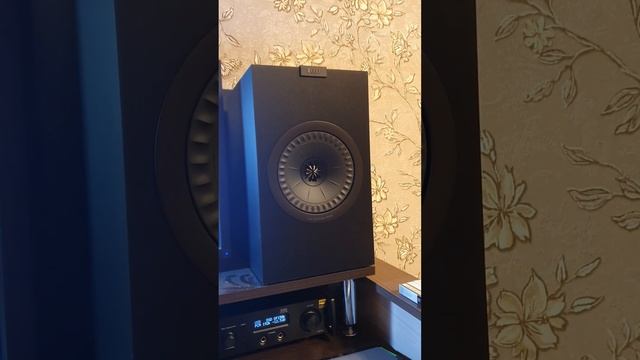 Проверка колонок kef Uni-Q смотреть онлайн