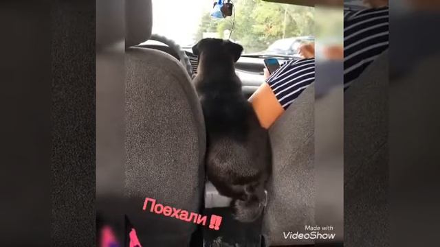 Моша с 2 до 10 месяцев . смотреть онлайн