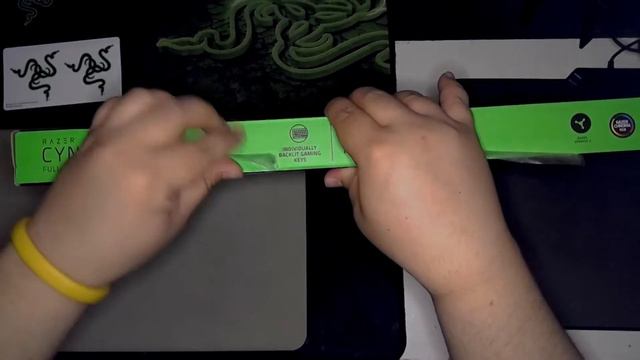UNBOXING - Razer Gear - Upgrading my Stream смотреть онлайн