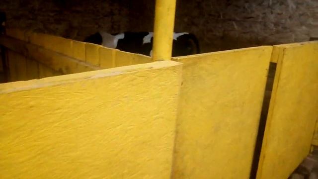 #1 Наша ферма краткий обзор. смотреть онлайн