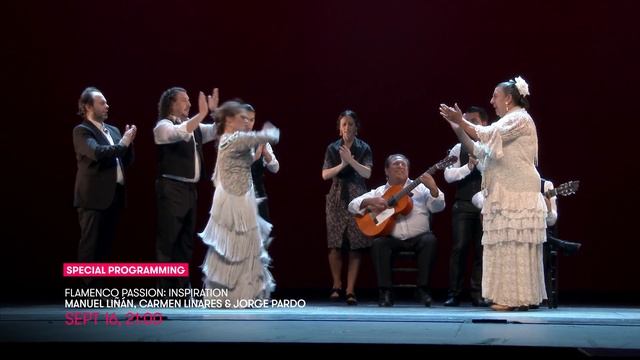Festival 4K Special Programming September - Flamenco Passion смотреть онлайн