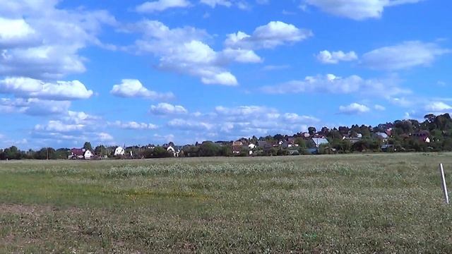 Трава, собака, картошка! смотреть онлайн