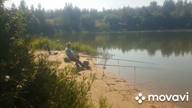 ПОСЛЕДНИЕ ДНИ УХОДЯЩЕГО ЛЕТА. смотреть онлайн