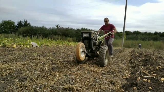 Уборка картошки китайским мотоблоком 2022г смотреть онлайн