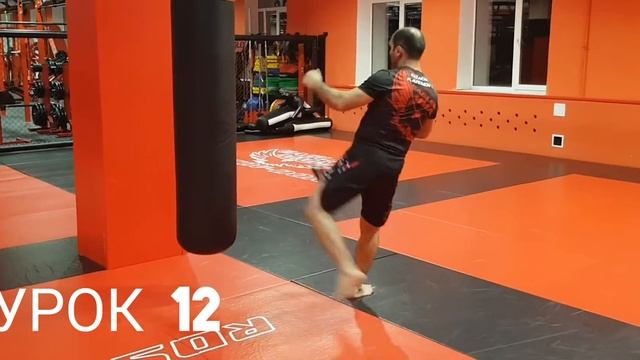 Урок 12. Удар с передней ноги. смотреть онлайн