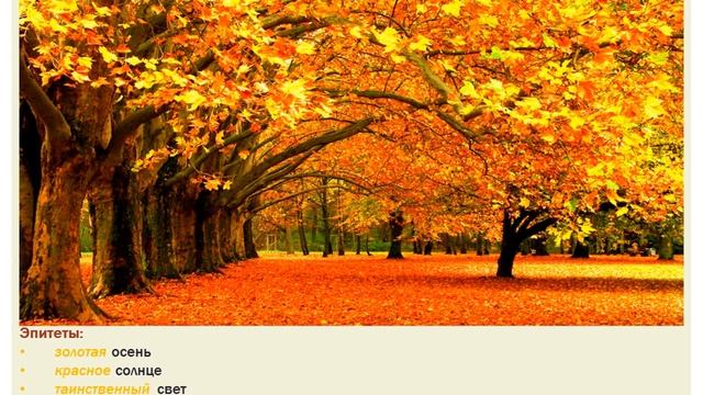 ЕГЭ 2017. Вопрос 24 (обзор). Языковые средства выразительности смотреть онлайн