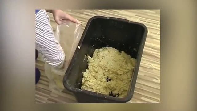 Специалист компании "Идея Плюс" рассказывает про жидкие обои. смотреть онлайн