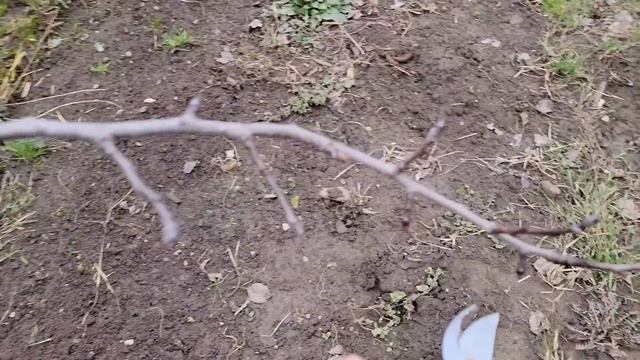 Taieri la par смотреть онлайн