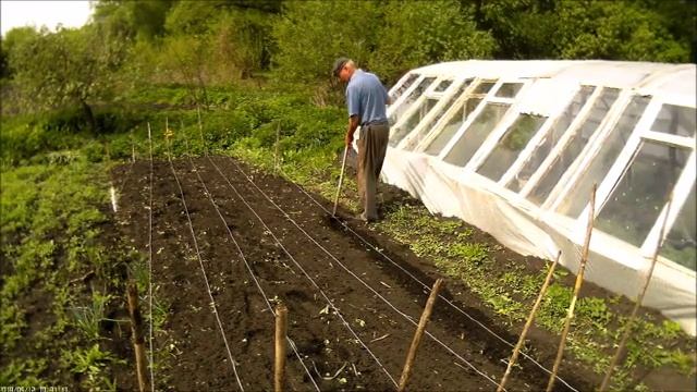 Как я сажаю лук чернушку смотреть онлайн