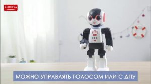 ZHORYA TOYS   ZY1090565  Интерактивный робот ШУНТИК   ZYI-I0018