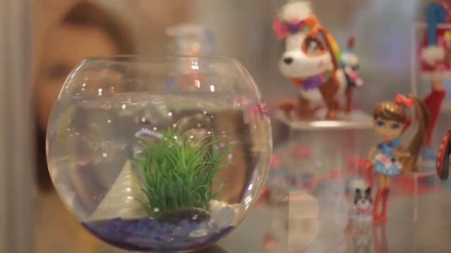 2_5305287652927360782