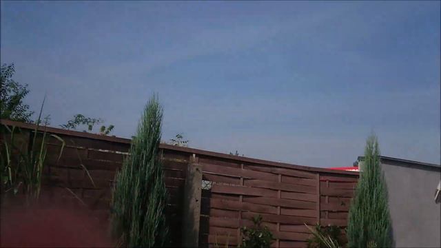 Flaszowiec czerymoja przesadzanie, odc specjalny nowy lektor ! смотреть онлайн