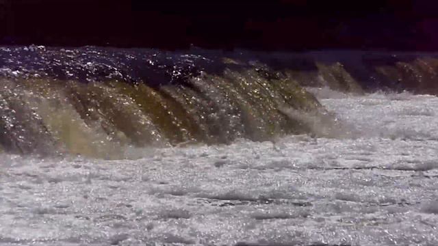 Lido zivis Kuldīgā. Flying fish in Kuldiga. Летающая рыба в Кулдиге. смотреть онлайн