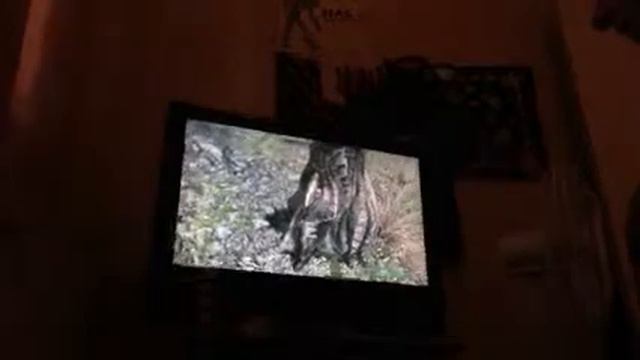 Skyrim dragon head glitch смотреть онлайн