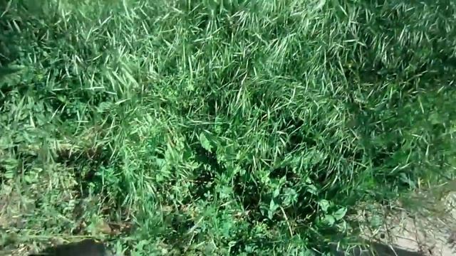 Триммер электрический Huter GET-400 обзор.Не покупайте его смотрите почему в описании. смотреть онлайн