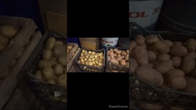 Картофель 2020 смотреть онлайн