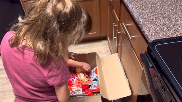 США Влог Обед по-русски Посылка из России Вечерний сюрприз Большая семья Big family in the USA VLOG смотреть онлайн