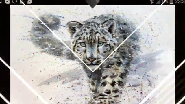 Фотографии животных ...