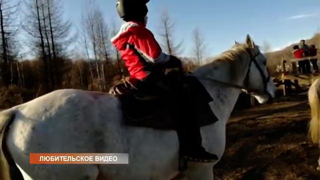 Завершение проекта «Лошадь – друг и целитель» смотреть онлайн