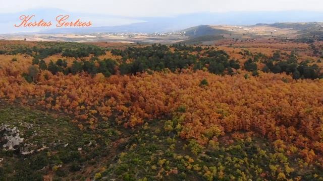 ΔΡΥΟΔΑΣΟΣ ΜΟΓΓΟΣΤΟΥ, ΚΟΡΙΝΘΙΑ (DRONE). MONGOSTO OAK FOREST, CORINTH, GREECE. смотреть онлайн