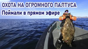 Ловля палтуса. Проверенные способ ловли