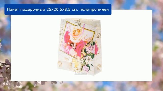 Пакет подарочный 25х20,5х8,5 см, полипропилен смотреть онлайн