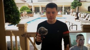 #D-LOW#Beatbox#VINO   Реакция на бит бокс лучших бит боксеров