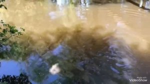 ВОТ ЭТО НАХОДКА!!!ПОИСКОВЫЙ МАГНИТ МП 600х2 в деле!!!!НЕ ПОВЕРИЛИ КОГДА ВЫТАЩИЛИ!!! search magnet