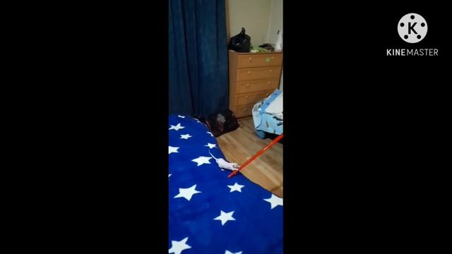 Смурфик гоняется за световым мечом смотреть онлайн