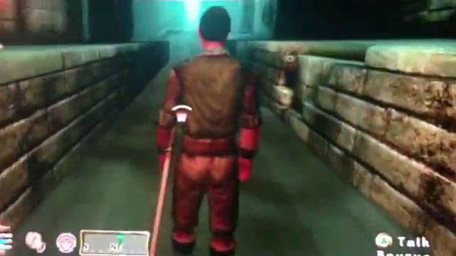 Oblivion Glitched Out RedGuard