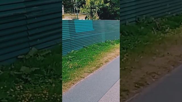 Почём билеты в Новокузнецке? Гуляем по Кёнигу (22.08.22) ✯ Калининград/Кёнигсберг ✠ ВечагоР. смотреть онлайн