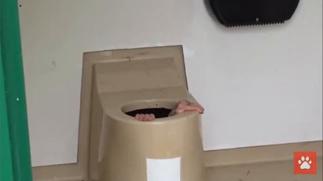 Реакция на відео смотреть онлайн